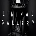 Liminal GalleryϷ