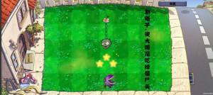 pvzK[D1