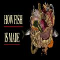 How fish is madeϷ