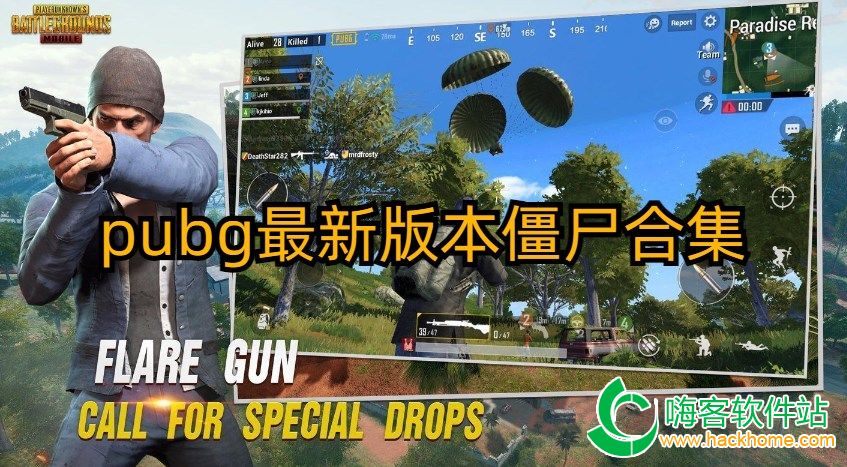 pubg°汾ʬϼ