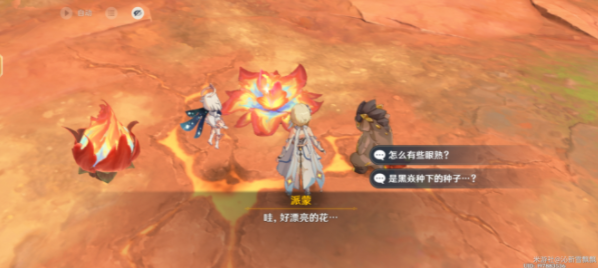 ԭʲô   ͼƬ5