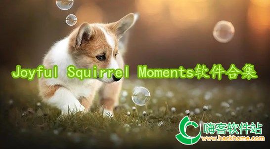 Joyful Squirrel Momentsϼ