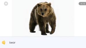 xðUappD1
