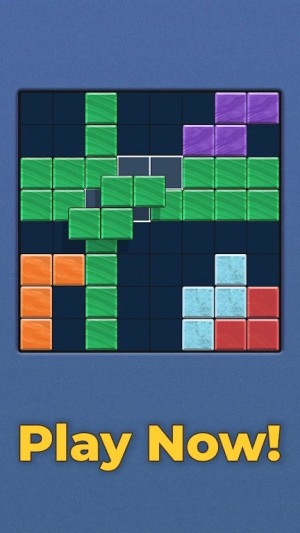 Block Blast Puzzle 2024[D3