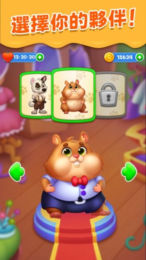 Pet Candy Puzzle[D1