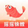 摇摇锦鲤app下载