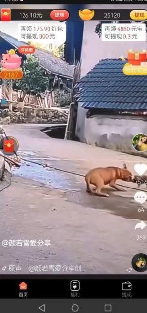īȳappD1