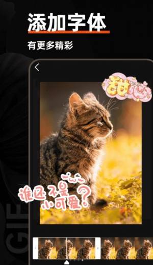 gifӈD^appD1