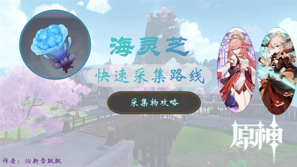 ԭ֥ɼ·2024 4.4.汾֥ռλһ