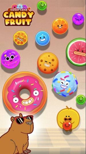 Candy Fruit Sweet Land׿ͼƬ2