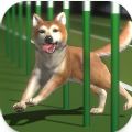 Top Dogs׿ v0.0.4