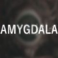 Amygdala[