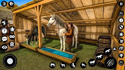 RģM׿İdStable Horse Life SimulatorD2: