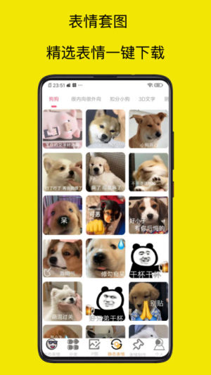 pDappD1