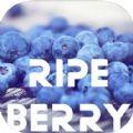 RipeBerry app