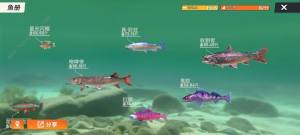歡樂釣魚大師藏寶圖有什麼用 新手必備八大技巧詳解圖片3