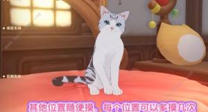 原神茸茸城堡大喵險第二天攻略 兔嘰的跳跳樹屋怎麼滿獎勵通關圖片7