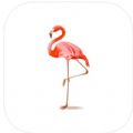 Flamingo graffiti palmtingӰѱ v1.1