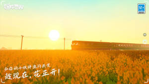 籬ư汾db°MDƬ1