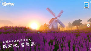 籬ư汾dD3