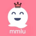 mmlu