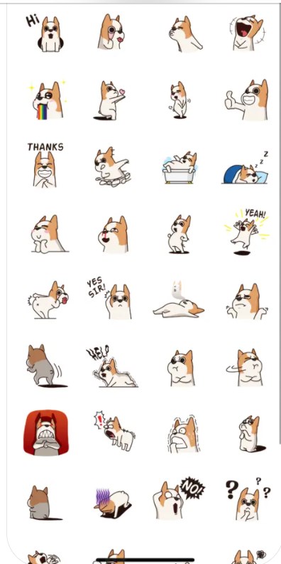 Pup Expressions FunܛMdD1: