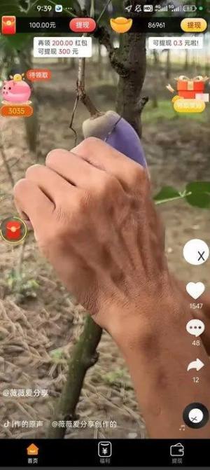 WɏappD1