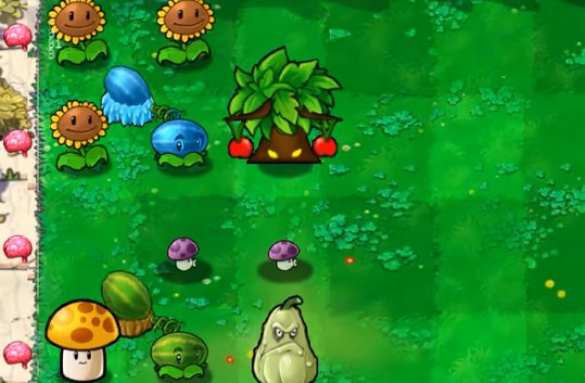 PVZ]ְ氲׿֙CdD2: