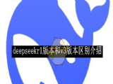 deepseekv3r1ĸ   v3r1˵