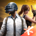 ƽӢpcذװֻ v9.5