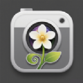 金银花相机app