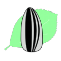 Ӱҕ°d v1.0.0