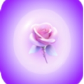 知悠app