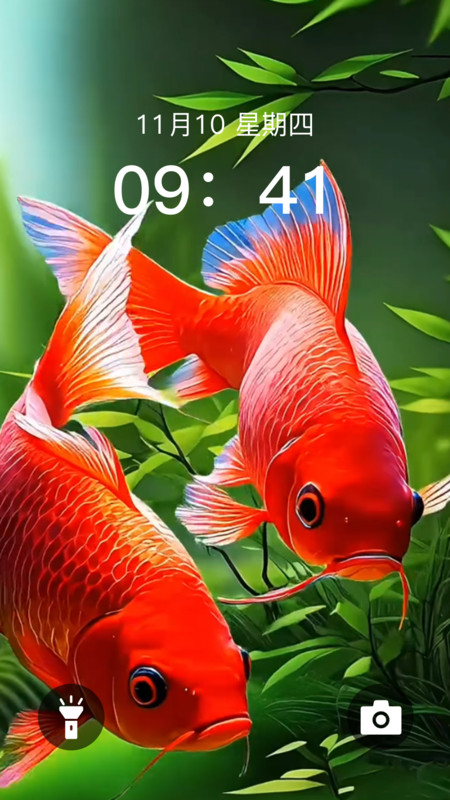 ֽ̬ͼ1: