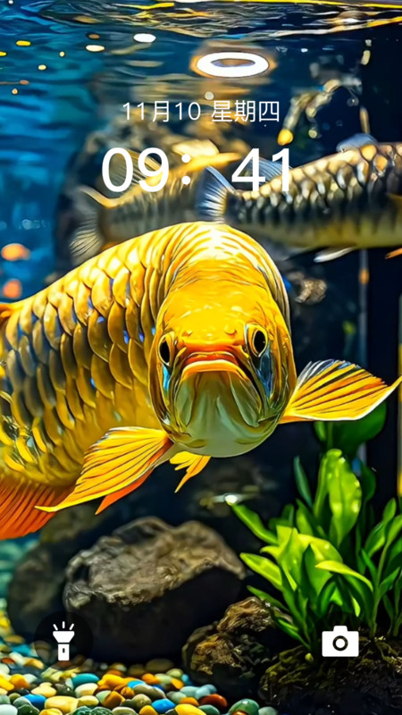 ֽ̬ͼ3: