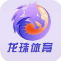 龙珠体育最新版